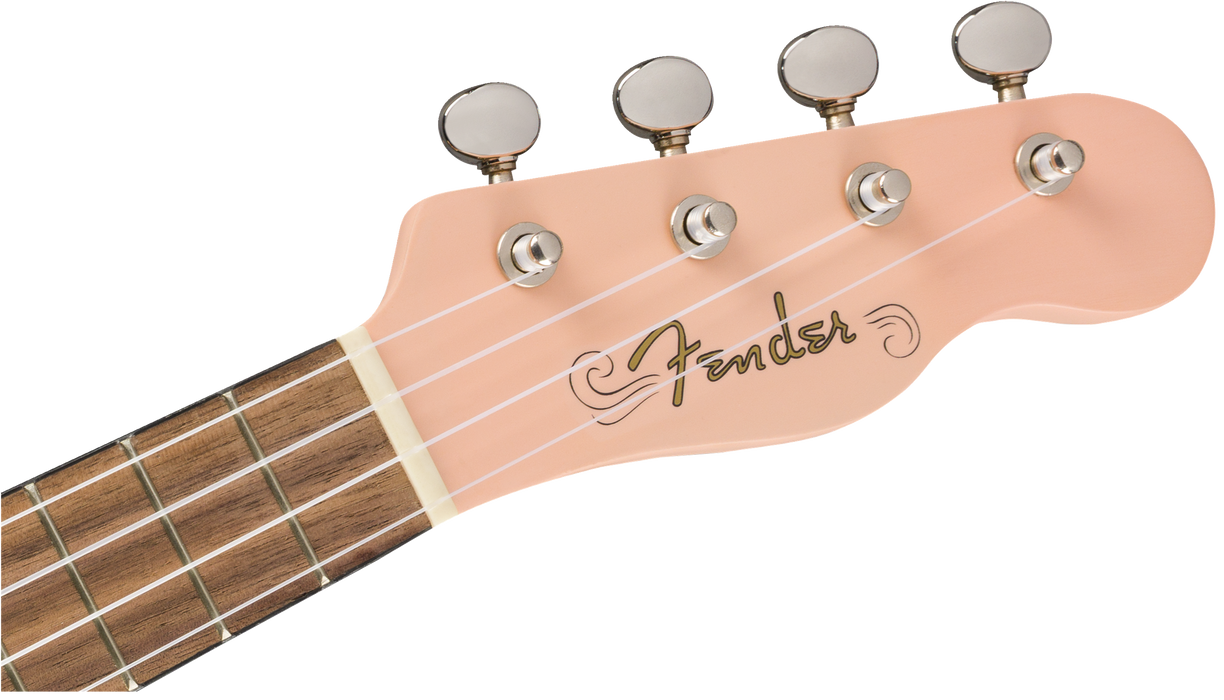 Fender CD-60 Dreadnought V3 w/Case Walnut Fingerboard Black
