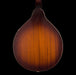 Fender PM-180E Mandolin Walnut Fingerboard Aged Cognac Burst Back Crop