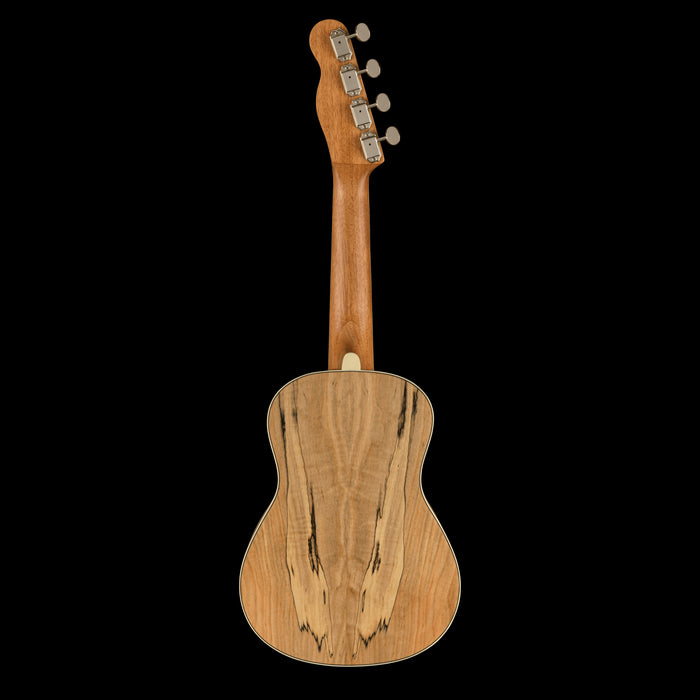 Fender Zuma Exotic Concert Ukulele Walnut Fingerboard Spalted Maple Back