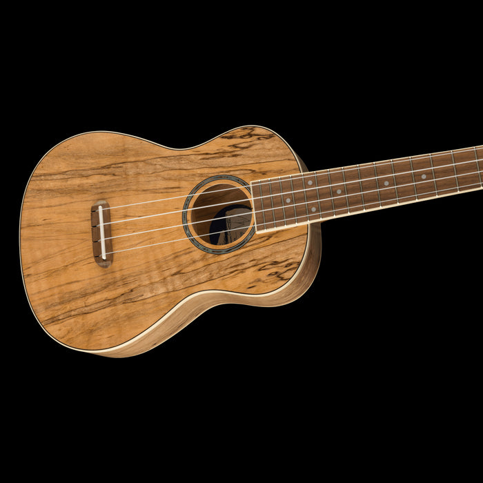 Fender Zuma Exotic Concert Ukulele Walnut Fingerboard Spalted Maple Contour Body Right