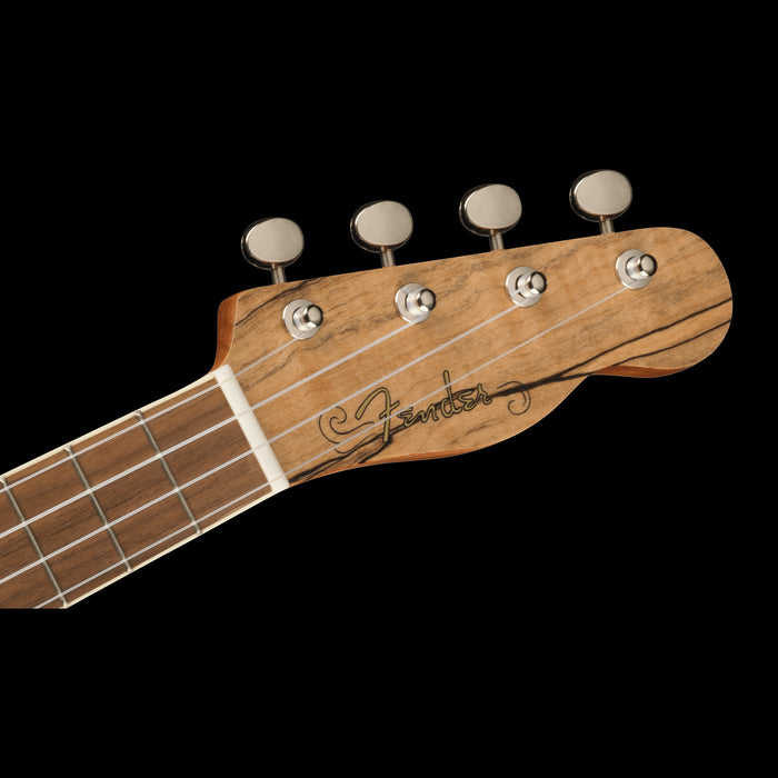 Fender Zuma Exotic Concert Ukulele Walnut Fingerboard Spalted Maple Headstock 