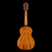 Fender CN-30 Nylon 3/4 Acoustic Guitar Natural Back