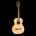Fender CN-30 Nylon 3/4 Acoustic Guitar Natural Front Angle