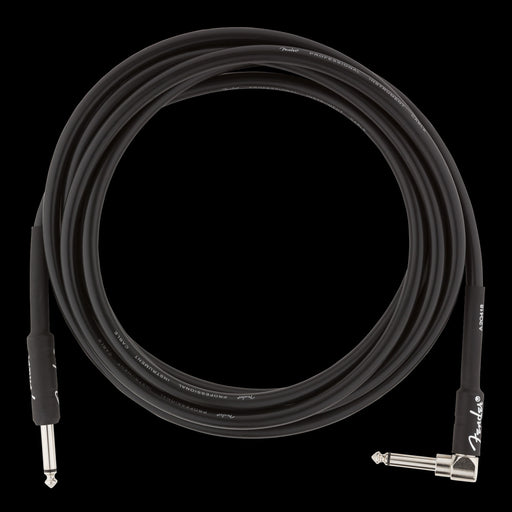 Fender Pro 10' Angl Inst Cable Blk - 990820025 Front