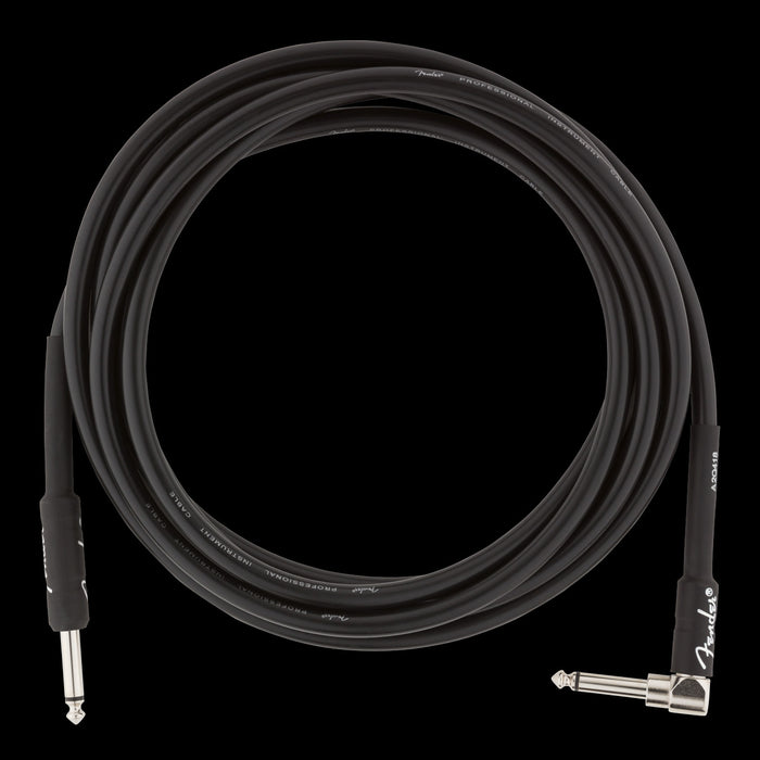 Fender Pro 10' Angl Inst Cable Blk - 990820025 Front