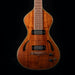 Pre Owned Asher Dual Tone Lap Steel With Case