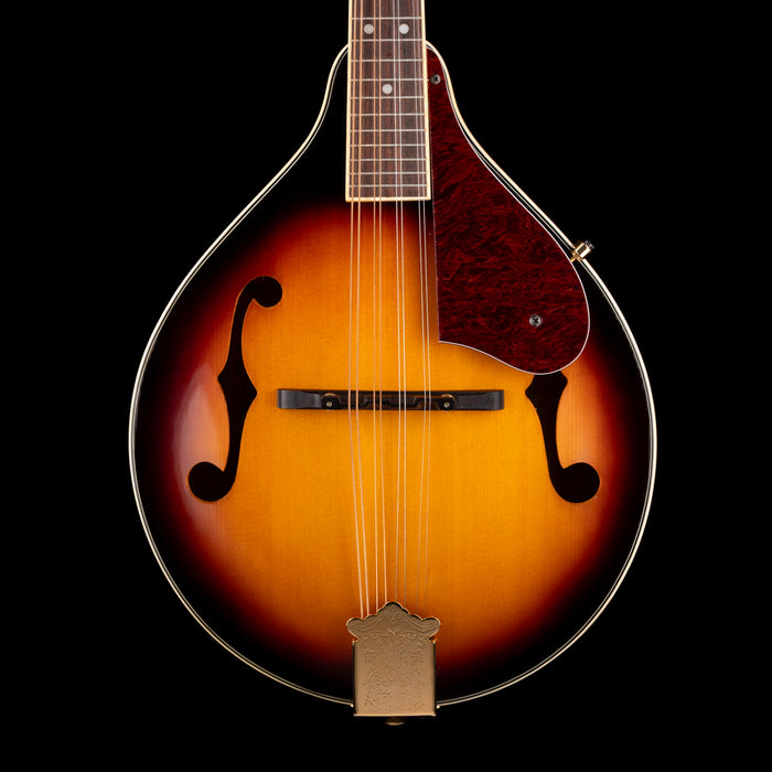 Used Fender FM-53S Mandolin Sunburst With Gig Bag