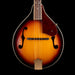 Used Fender FM-53S Mandolin Sunburst With Gig Bag