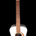 Pre Owned Fender Malibu Player Arctic Gold Acoustic Electric Guitar