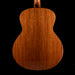 Taylor Truetone Custom Select Gold Label 814e Super Auditorium Mahogany Natural with Case