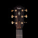 Taylor Truetone Select Builder's Edition 814ce Rosewood With Case