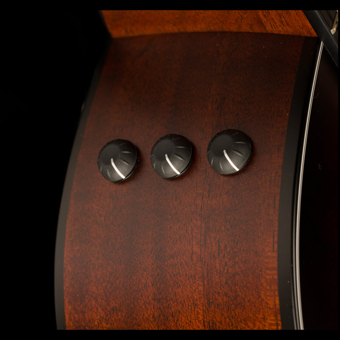 Taylor 324ce Grand Auditorium Acoustic Electric Guitar Shaded Edgeburst With Case - Serial # 1202134112  - Demo Expression System Controls