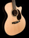 Martin GPC-16E Rosewood Acoustic Electric Guitar With Case