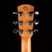 Used Alvarez AF65GD/MSHB Limited Edition Grateful Dead Acoustic With OHSC