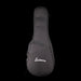 Used 2016 Eastman MD-315 F-Style Mandolin Classic Sunburst