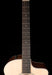 Taylor 214ce Acoustic Electric Guitar With Gig Bag