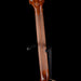 Fano Alt de Facto SP6 Set Neck Driftwood Burst with Gig Bag