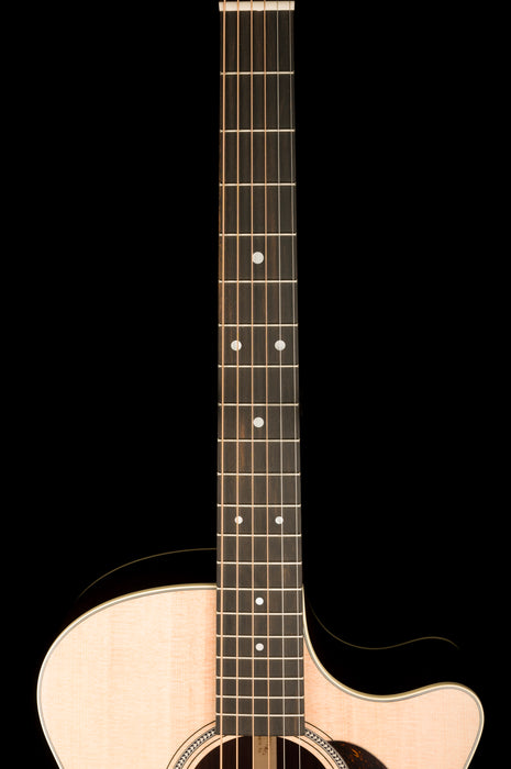 Martin GPC-16E Rosewood Acoustic Electric Guitar With Case