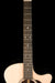 Martin GPC-16E Rosewood Acoustic Electric Guitar With Case