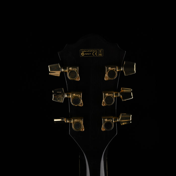 Used Ibanez AEF30E Trans Black Acoustic Electric Guitar with HSC