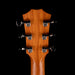 Taylor Prototype Crosstone Blacktop Electric Guitar with Case - Rare