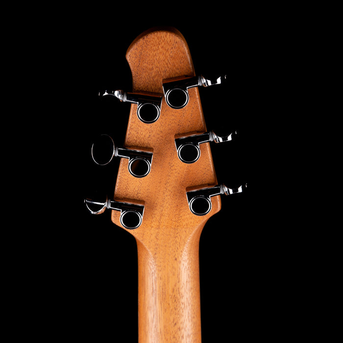 Powers Electric A-Type Platinum Metallic with Soft Case