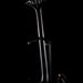 Pre Owned 2017 PRS SE Custom 22 Semi-Hollow body Grey Black With Gig Bag