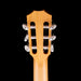 Taylor 212ce-N Nylon Plus Acoustic Electric Guitar With Case