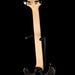 PRS SE Swamp Ash Special Charcoal with Gig Bag