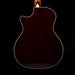 Taylor Limited Edition 414ce-R Lily & Vine Tobacco Shaded Edgeburst with Case - Only 100 Made