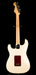 Pre Owned Fender American Professional II Stratocaster Olympic White With Player Series Maple Neck With HSC