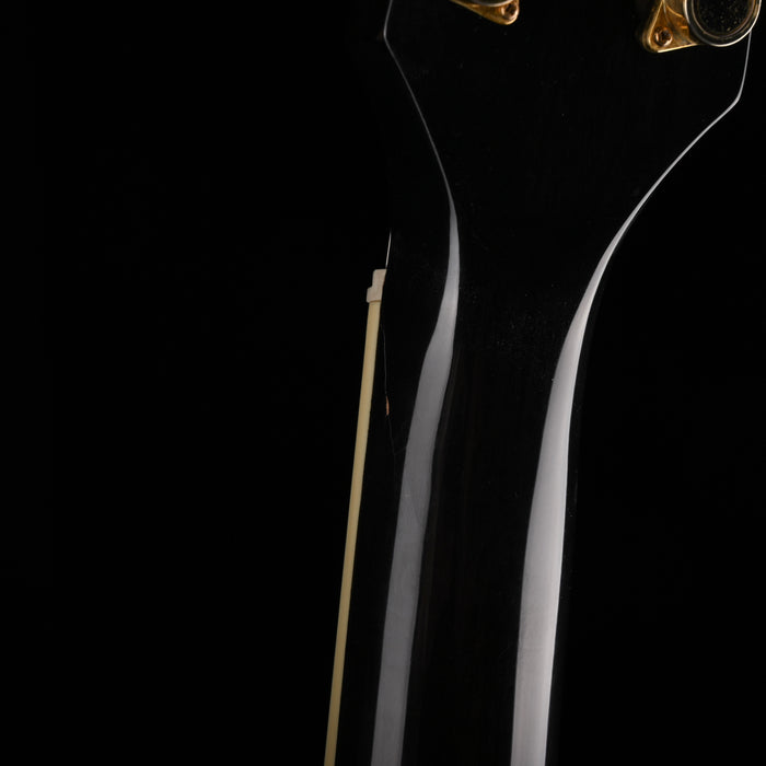 Used Ibanez AEF30E Trans Black Acoustic Electric Guitar with HSC