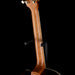 Gibson Parlor Rosewood EC Rosewood Burst with Case