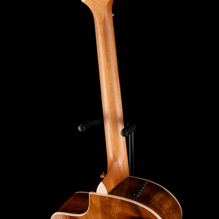 Taylor 214ce-K DLX Grand Auditorium Hawaiian Koa with Case