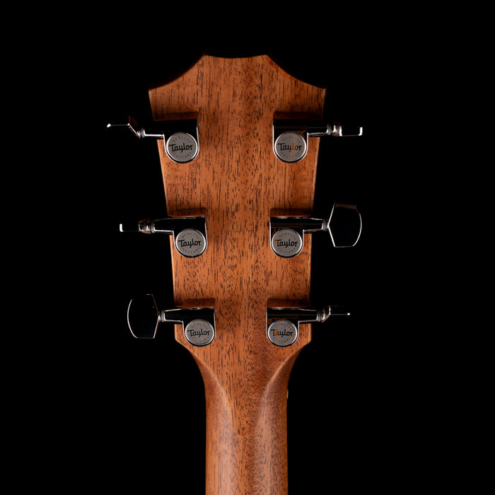 Taylor 314ce Studio Natural With Soft Case