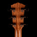 Taylor Truetone Custom Select Gold Label 814e Super Auditorium Mahogany Natural with Case