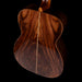 Martin Custom Shop 00-28 Deep Body Wild Grain East Indian Rosewood and Italian Alpine Spruce With Case