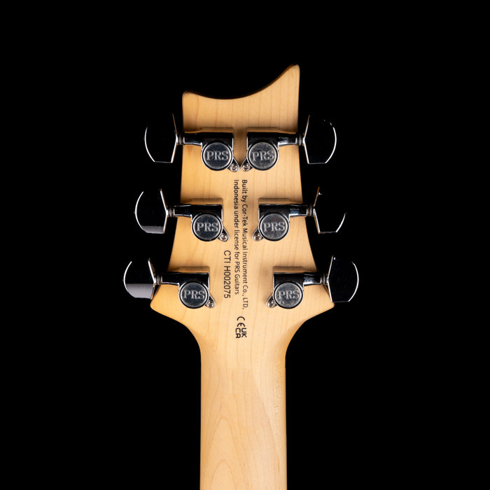 PRS SE Swamp Ash Special Charcoal with Gig Bag