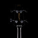 Aria Pro II Limited Edition SB-CLB Cliff Burton Signature Bass Black with Gig Bag