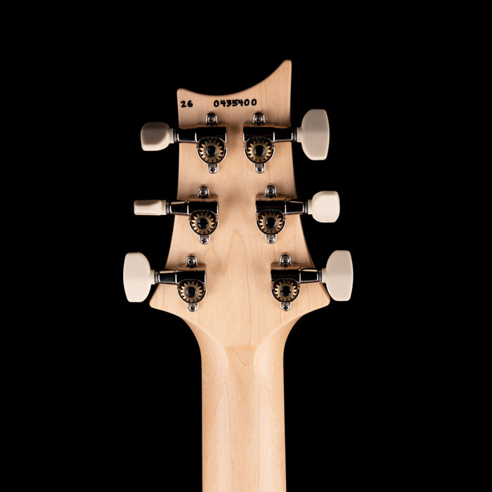 PRS Swamp Ash Special Rosewood Jasper Smokeburst with Gig Bag