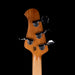 Ernie Ball Music Man Short Scale StingRay Bass Ghostwood with Mono Case