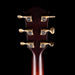 Taylor Truetone Custom Select Builder's Edition 814ce Grand Auditorium Mahogany Natural with Case