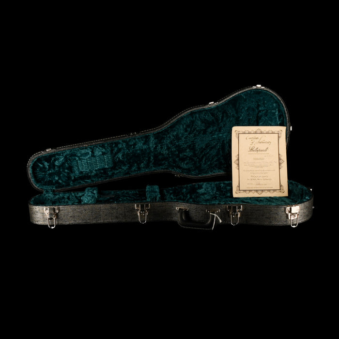 Pre Owned 2017 Echopark Downtowner TV Yellow With HSC