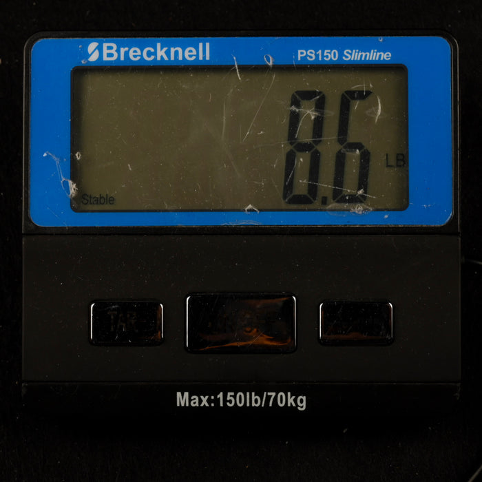 Ernie Ball Music Man StingRay Special HH Dazzler With Case