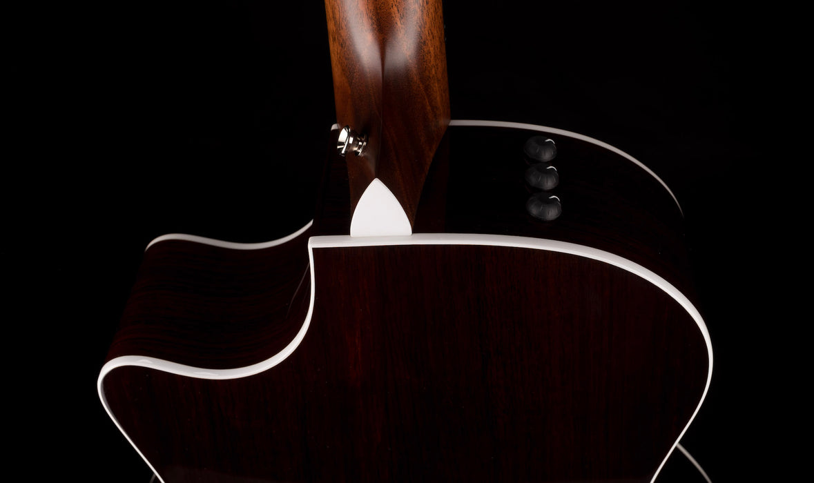 Taylor Limited Edition 414ce-R Lily & Vine Tobacco Shaded Edgeburst with Case - Only 100 Made