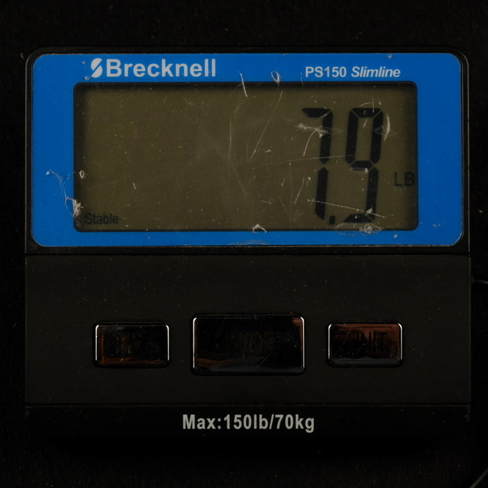 Used 1994 Gibson Les Paul Special Modified TV Yellow with Case