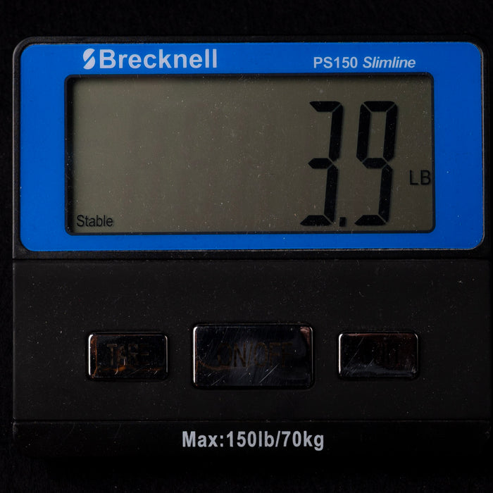 Used Taylor Big Baby Taylor Acoustic Guitar Natural with Gig Bag