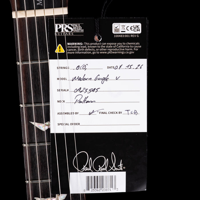 PRS Core Modern Eagle V Aurora Borealis with Case