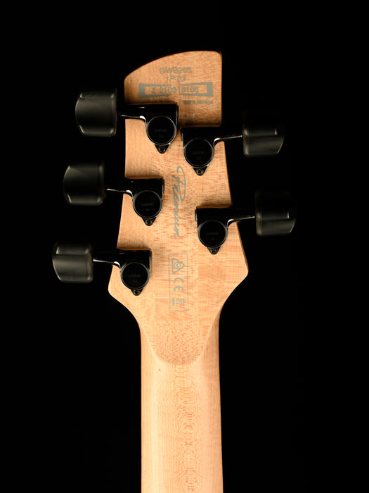 Used Ibanez GWB205 Gary Willis Fretless 5-String Electric Bass Tequila Sunrise Flat with Gig Bag