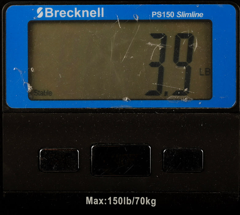 Used Taylor GS Mini Mahogany with LR Baggs M1 Pickup Natural With Soft Case